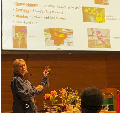 Kathy Conerly gives a presentation.